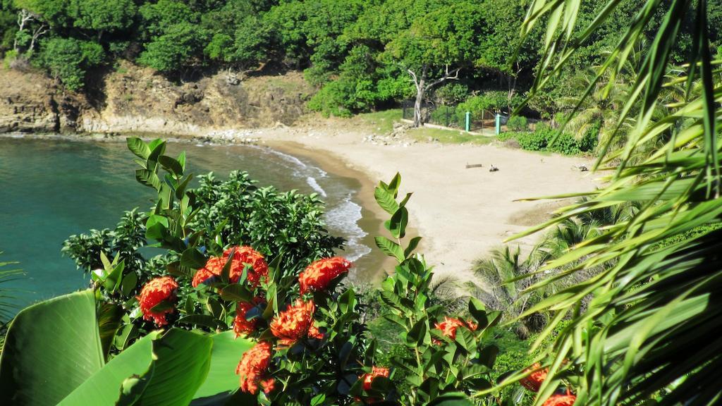 Anse Figuier Gites de France Terre-De-Haut Chambre photo